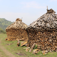 प्रमुख प्रतिपक्षको भूमिका पूरा गर्छौं : सभापति थापा