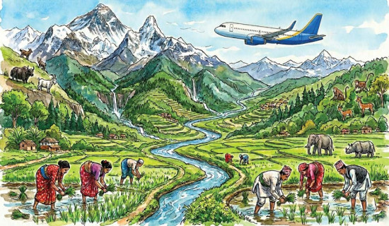 साझा प्रयासबाटै पर्यावरण संरक्षण