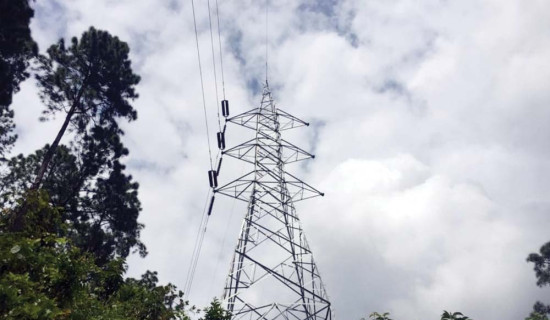 चितवन–२ मा परिवार नै विभाजन