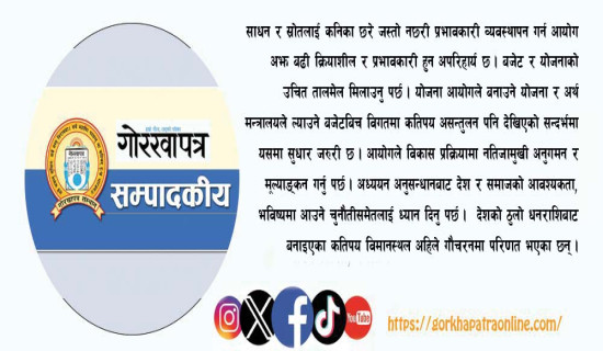 योजना आयोगको प्रभावकारिता