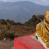 जेनजी आन्दोलनका घाइते : बल्झिरहन्छ घाउ र पीडा