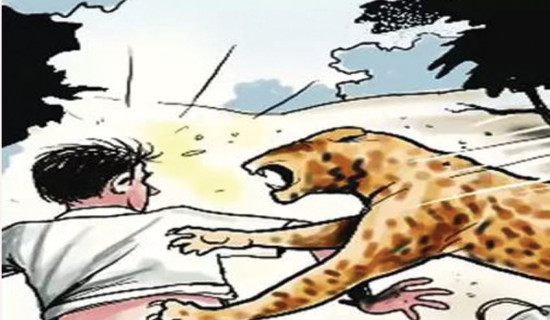 स्थानीय तहबाटै राहत उपलब्ध होस्