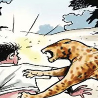 आजको राशिफल