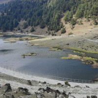 यस्तो छ आजका लागि कृषिउपजको थोक मूल्य