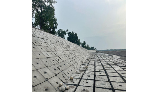 नारायणीमा तटबन्ध निर्माण तीव्र