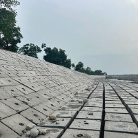 यस्तो छ आजका लागि कृषिउपजको थोक मूल्य