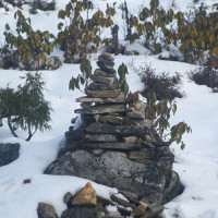 यस्तो छ आजका लागि कृषिउपजको थोक मूल्य