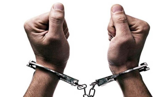 दुई चिकित्सक प्रहरी नियन्त्रणमा