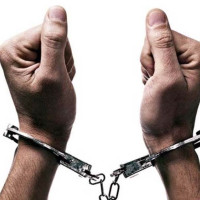 वीरगञ्ज हुँदै ७९ अर्ब ५४ करोडको वस्तु तथा सामान निर्यात