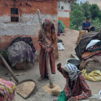 मधेश प्रदेश सभाको ११ सिटमा खुम्चियो जसपा