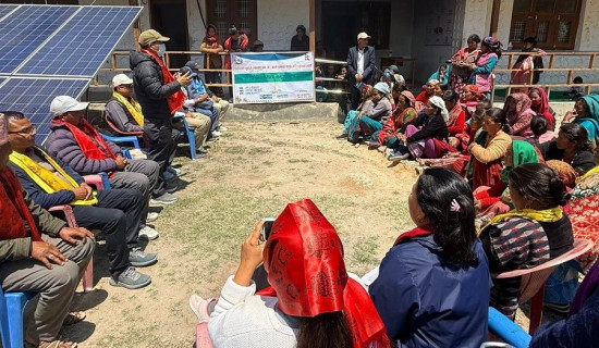 लिमीमा चौरीको सङ्ख्या छ गुणाले वृद्धि