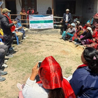 पैँसट्ठी पालिकाको मत परिणाम सार्वजनिक