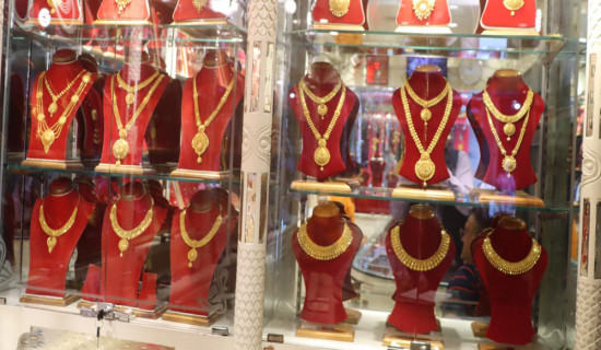 उद्योगमा लगानी वृद्धि