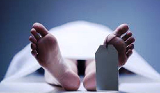 पाकिस्तानमा भएको आक्रमणमा नौ जनाको मृत्यु