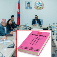 निरन्तर उकालो लाग्दै विद्युतीय कारोबारको ग्राफ