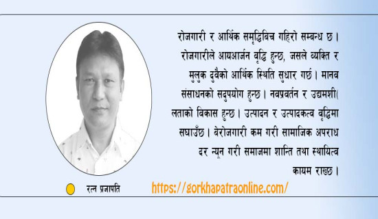 प्राथमिकतामा रोजगारी