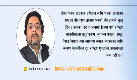 लोकतन्त्रको सुन्दर पक्ष