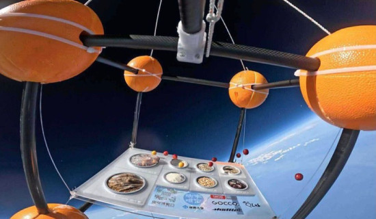 स्याङ्जाको कफी बीउ अन्तरिक्ष पुगेर फर्कियो