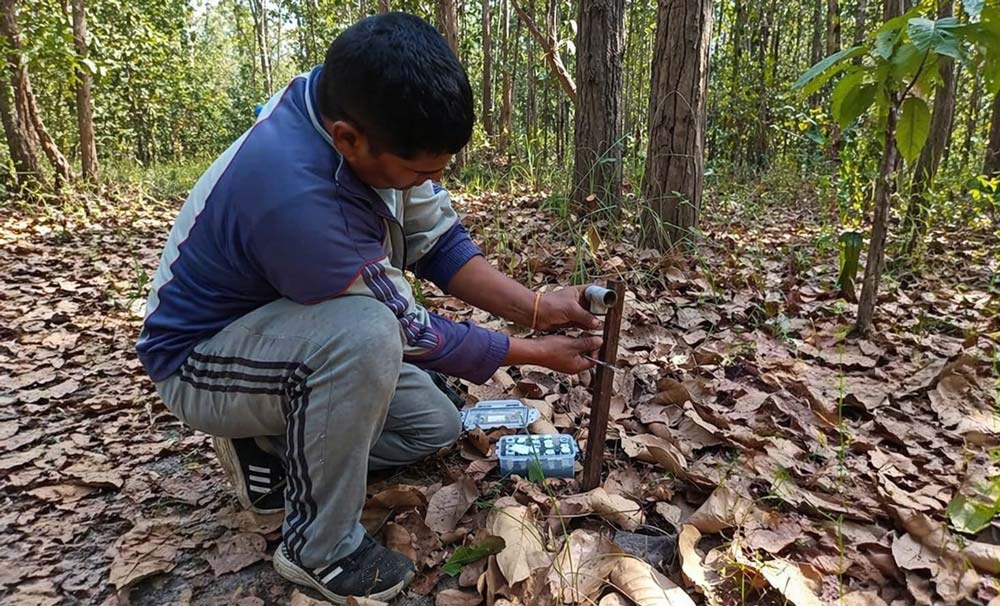 हिंस्रक वन्यजन्तु नियन्त्रण गर्न रसायन