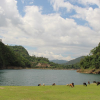 स्याङ्जाको कफी बीउ अन्तरिक्ष पुगेर फर्कियो