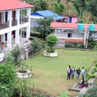 भरतपुरमा प्राङ्गारिक सूर्यमुखी खेती