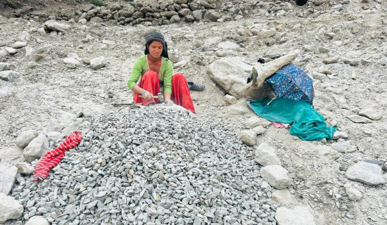 चितवनमा ‘स्विप अपरेशन’ ११३ जना पक्राउ