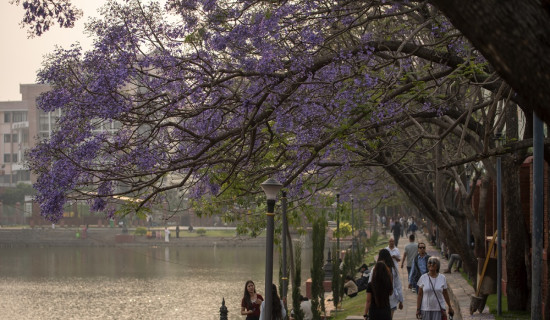 किस्पाङ बहुप्राविधिक शिक्षालय, जहाँ पढ्छन् सातै प्रदेशका विद्यार्थी