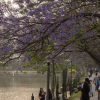 प्रेस काउन्सिलको ध्यानाकर्षण : आचारसंहिता उल्लंघनमा चेतावनी