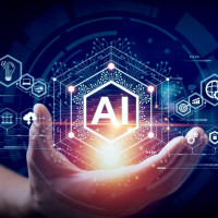 पेचिलो युवा रणनीति