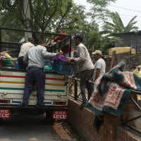 दलित समुदायका मतदाता १४.२९ प्रतिशत