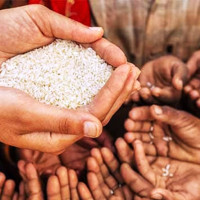 कृषि क्षेत्रको सुधार र किसानको अधिकारमा सांसदको जोड