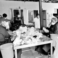 नेपाली फुटबलमा सबै नयाँ हुने छ : प्रशिक्षक एरेना