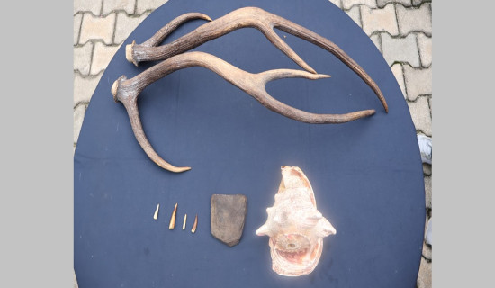 डिजेल खपत घट्यो पेट्रोलको भने बढ्यो