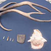 भूजीखोलामा मोटरेबल पुल