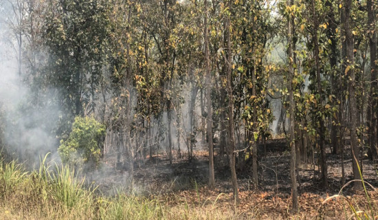 नियन्त्रणबाहिर डढेलो
