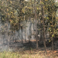 धनकुटामा आइपुग्यो निर्वाचनका लागि मतपत्र