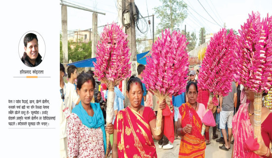 सिरुवा मेलामा मालामाल फूलघोडा