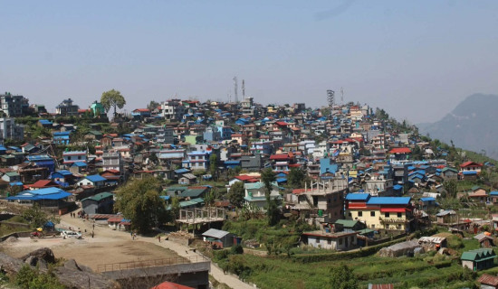 पूर्व राज्यमन्त्री मीना पाण्डेको निधन