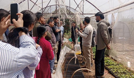 रोड्स चितवन विजयी