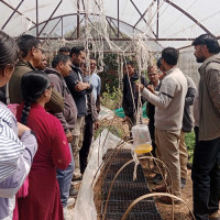 गाउँमै चोयाचित्रो उद्योग स्थापना