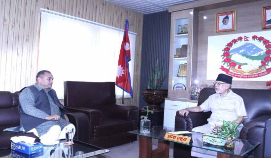 प्रदेश प्रमुख र मुख्यमन्त्रीबिच शिष्टाचार भेट