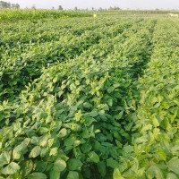 धनुषामा बस र मोटरसाइकल ठोक्किँदा एक जनाको मृत्यु, एक घाइते