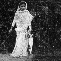 एनपिएल : लुम्बिनीले सुदूरपश्चिमलाई दियो १४४ रनको मध्यम लक्ष्य