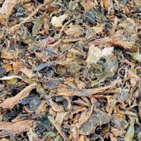 गर्मी बढेपछि नेपालगन्जका विद्यालयमा बिदा लम्बियो