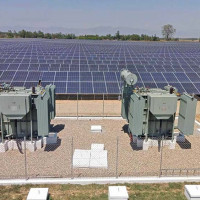 सडकछेउका रङ्गीन फूलले बढायो कुहुँको आकर्षण