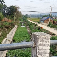 जसपाद्वारा प्रत्यक्ष निर्वाचित कार्यकारी राष्ट्रपति प्रणालीको माग