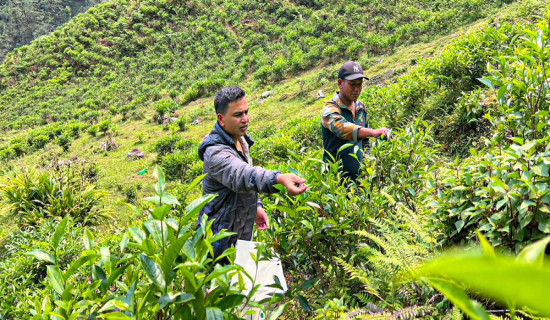 धूमपान नियन्त्रणमा स्वयंसेवक मोडेल