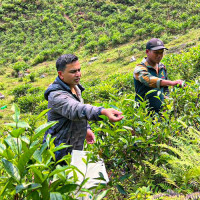 तोकियो पहिलो पटक गुन्द्रुकको गुणस्तर