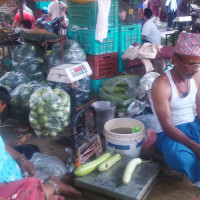 स्थानीय तहको बिजुलीलाई बजार सुनिश्चित