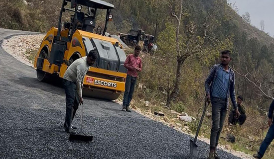 स्थानीय तहको बिजुलीलाई बजार सुनिश्चित